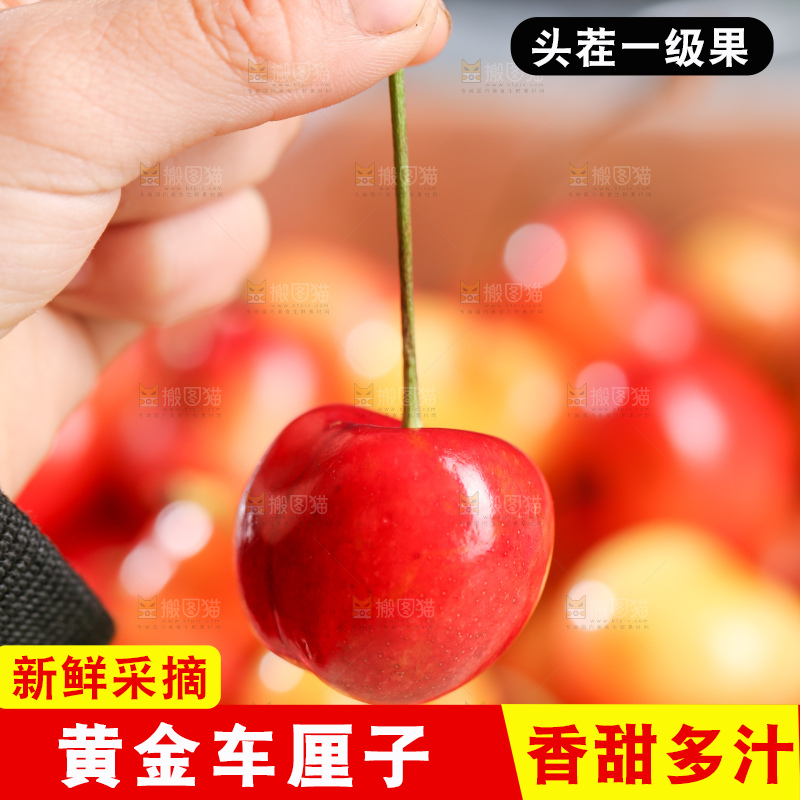 深底上的黄金车厘子