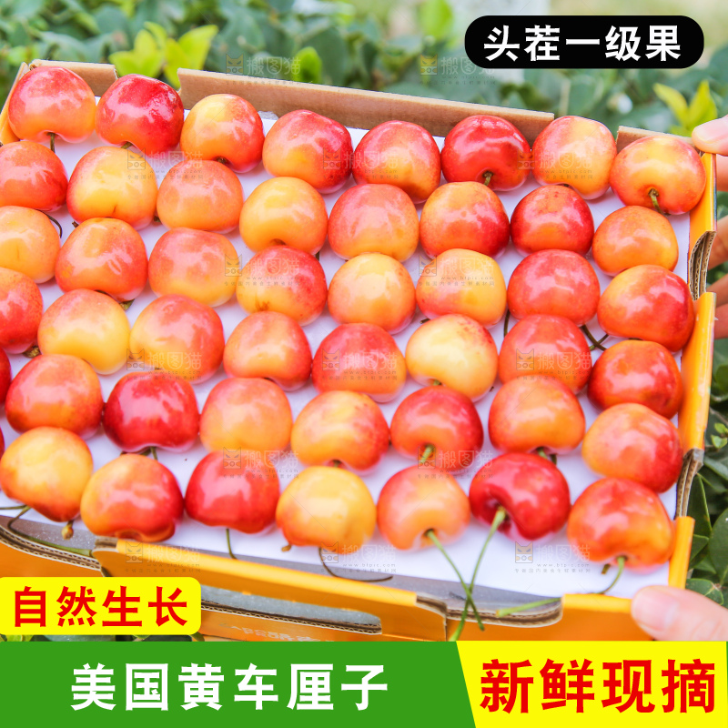 浅底上的黄金车厘子