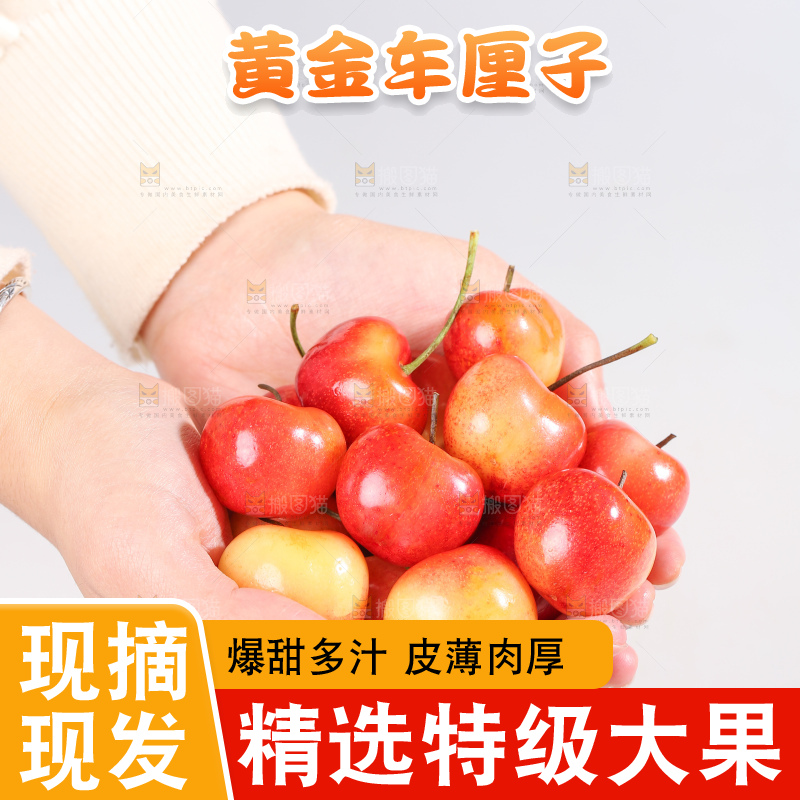 浅底上的黄金车厘子