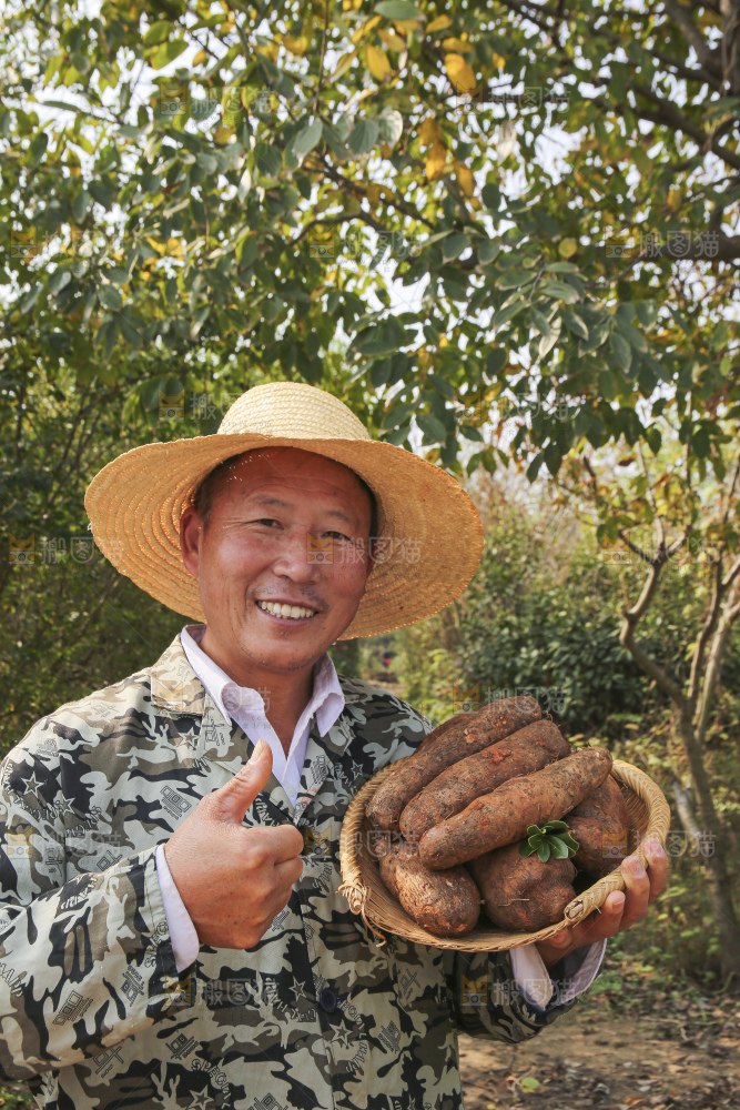 手里拿着云南山药