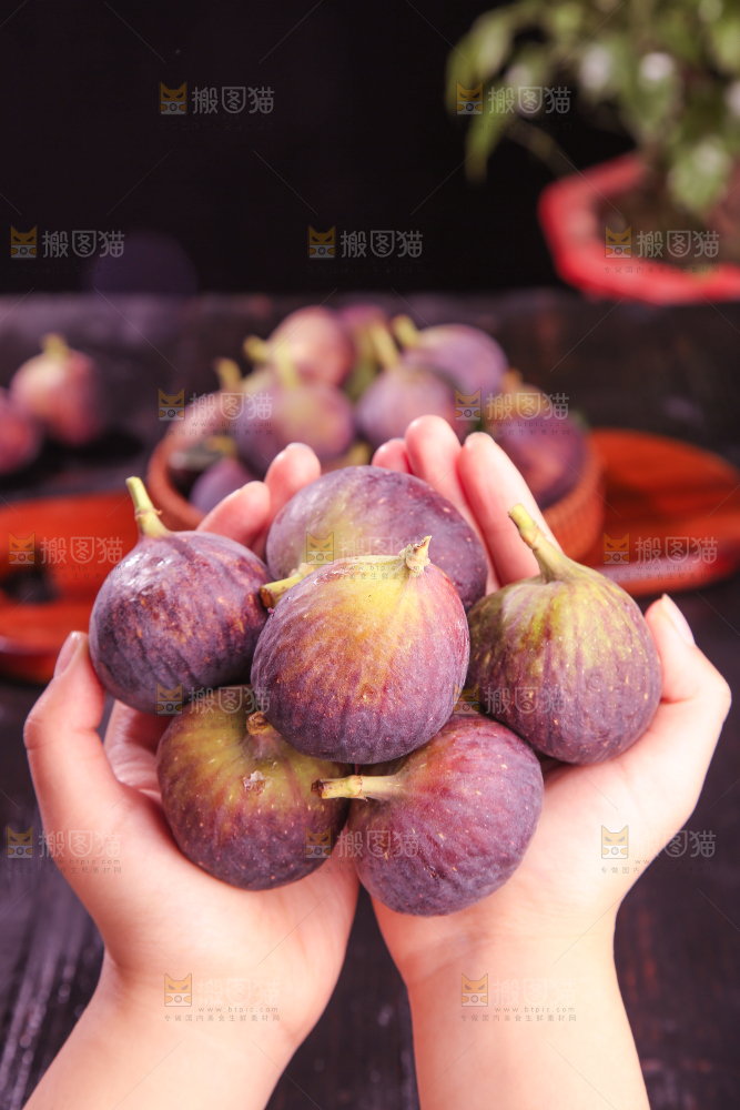 无花果