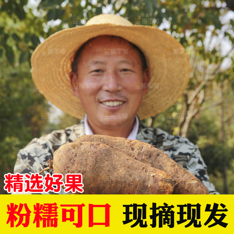 手里拿着云南山药