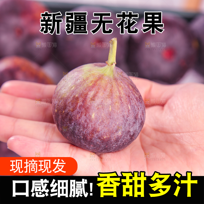 浅底上的无花果