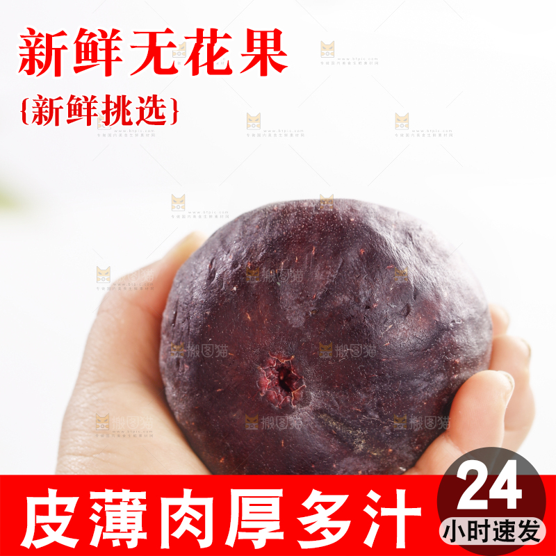 浅底上的无花果