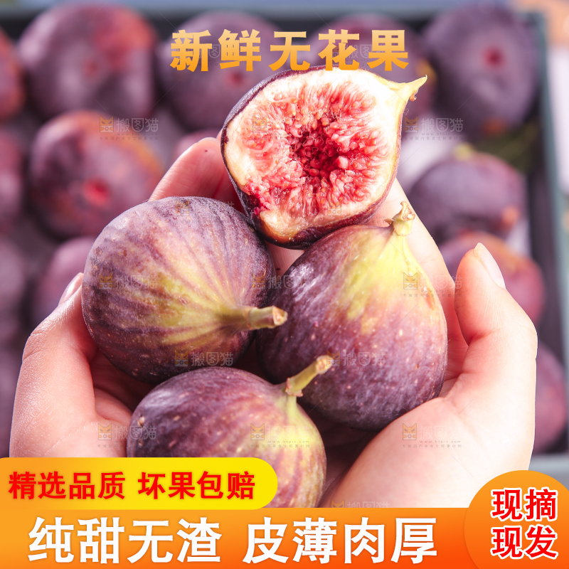 浅底上的无花果