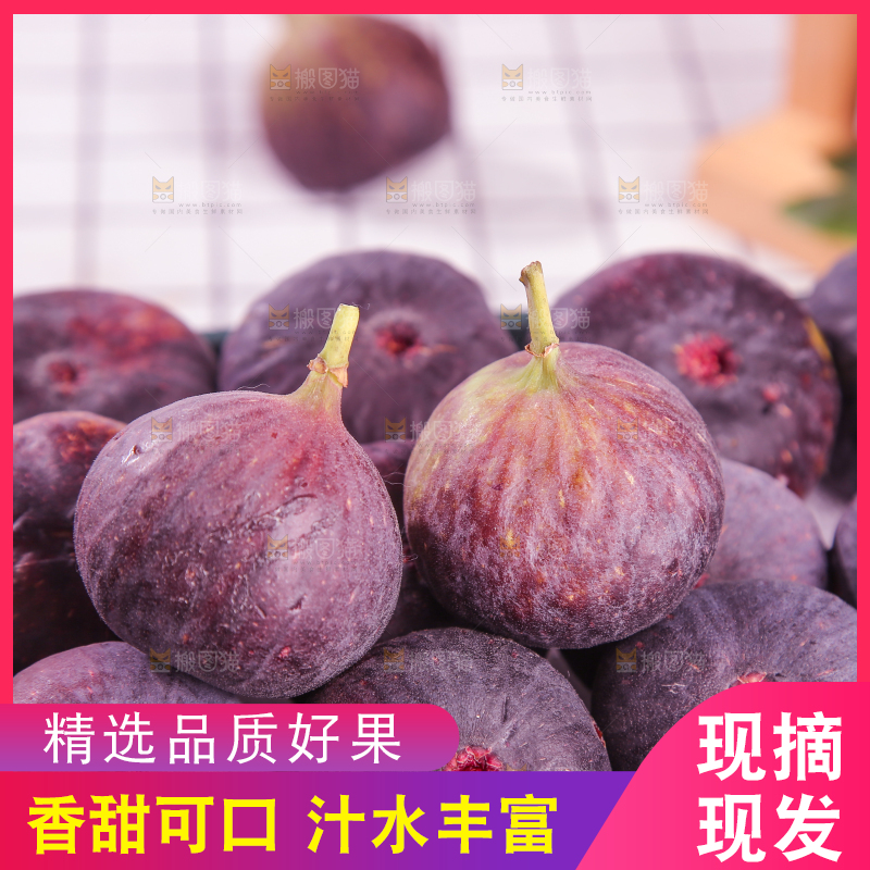 浅底上的无花果