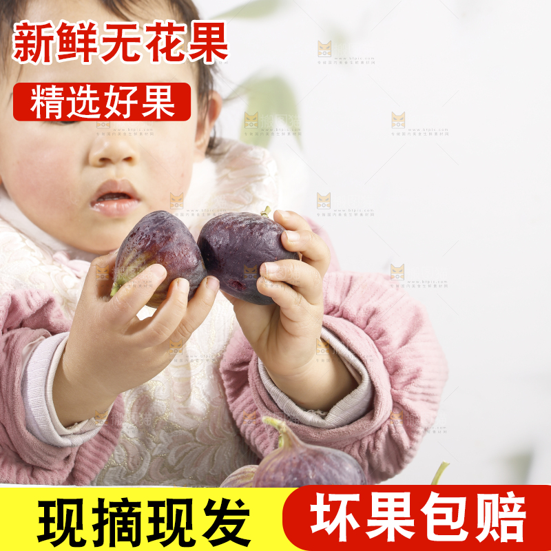 浅底上的无花果
