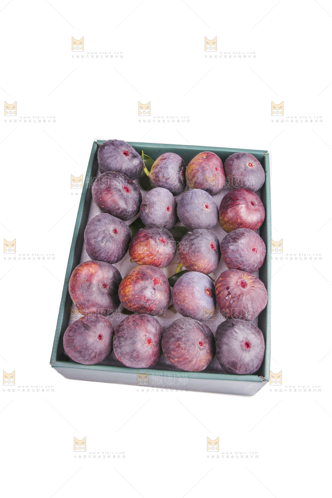 白底上的新鲜无花果