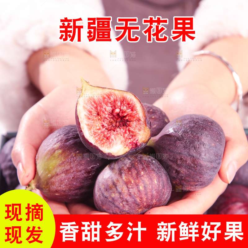 浅底上的无花果
