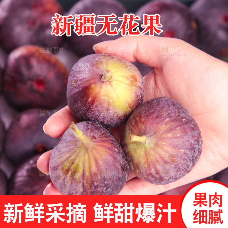 浅底上的无花果