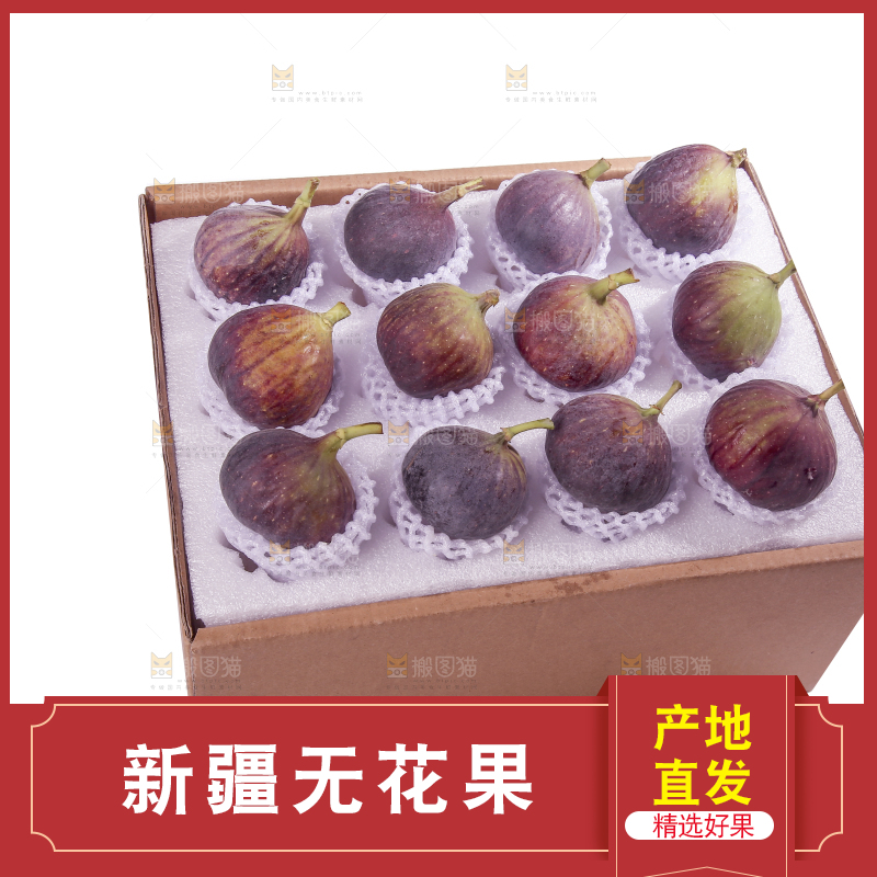 白底上的新鲜无花果