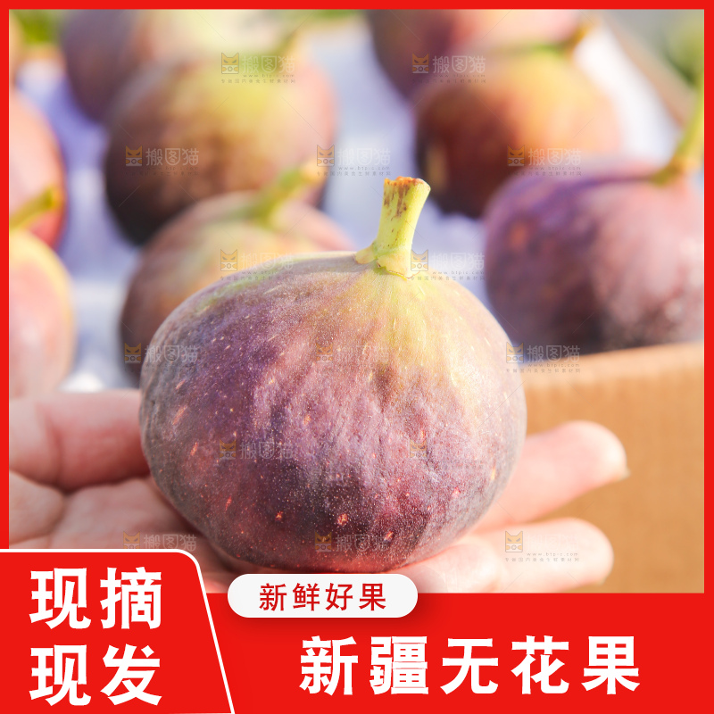 手里拿着无花果