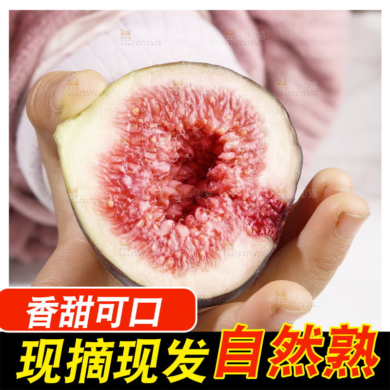 浅底上的无花果