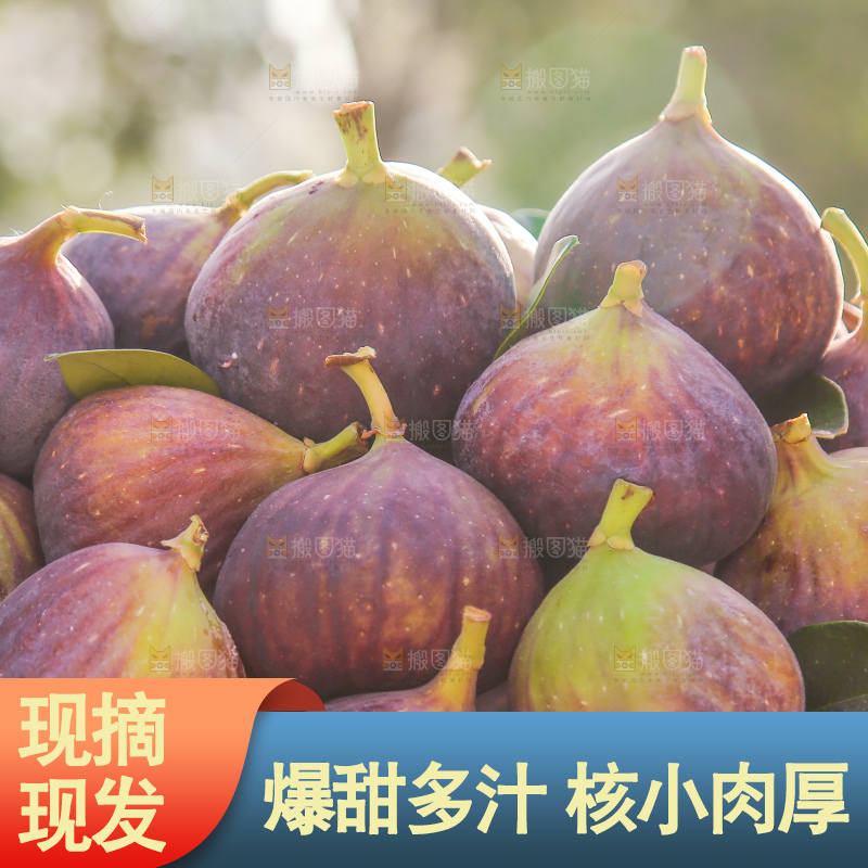 手里拿着无花果