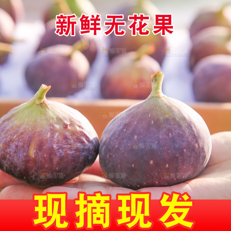 手里拿着无花果