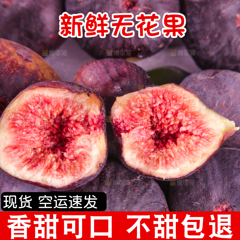 浅底上的无花果