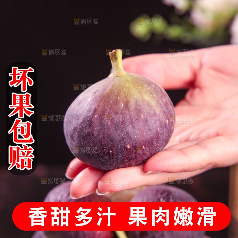 无花果主图