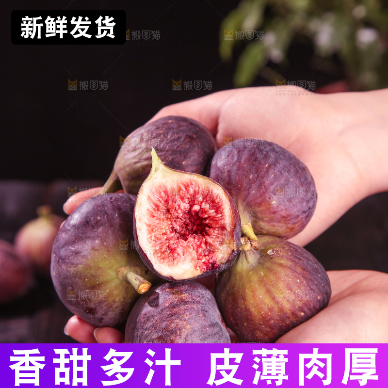 无花果主图
