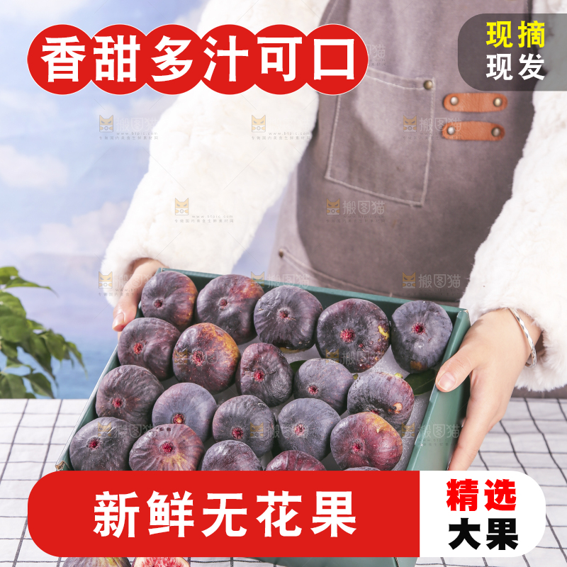 浅底上的无花果