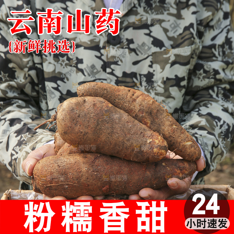手里拿着云南山药
