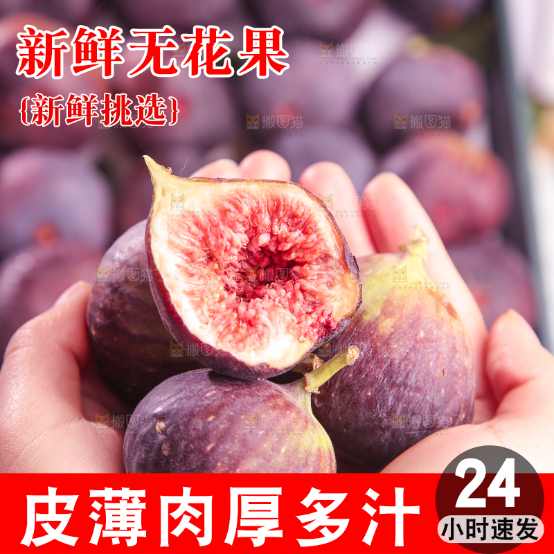 浅底上的无花果
