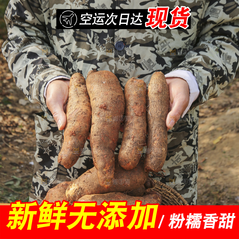 手里拿着云南山药