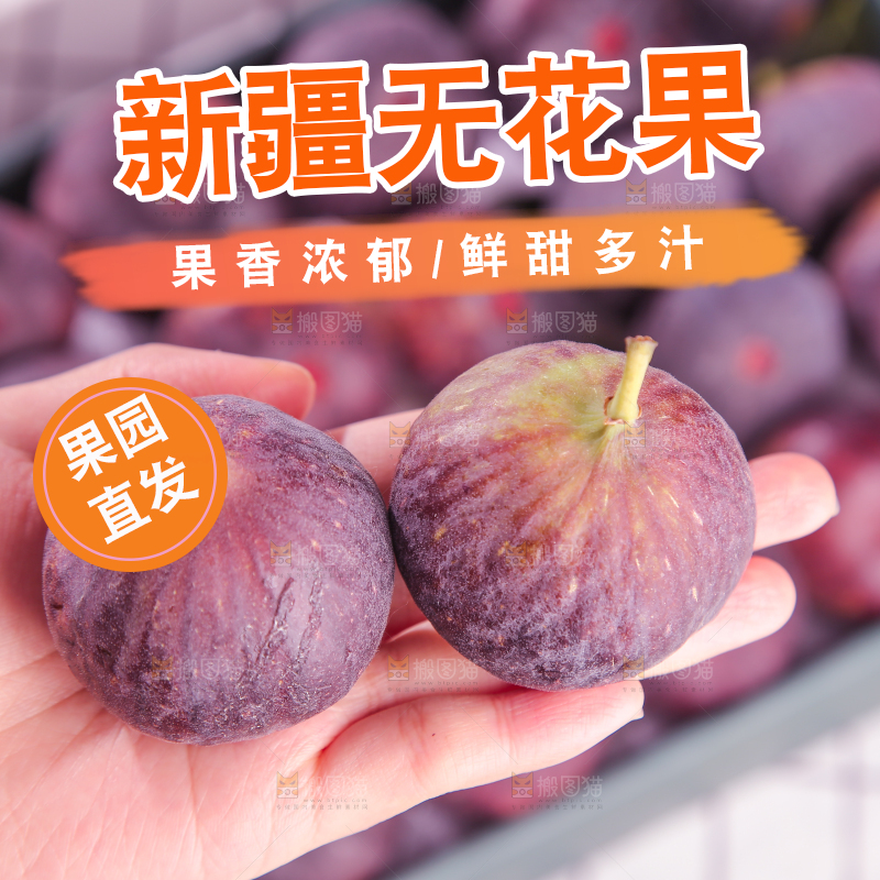 浅底上的无花果