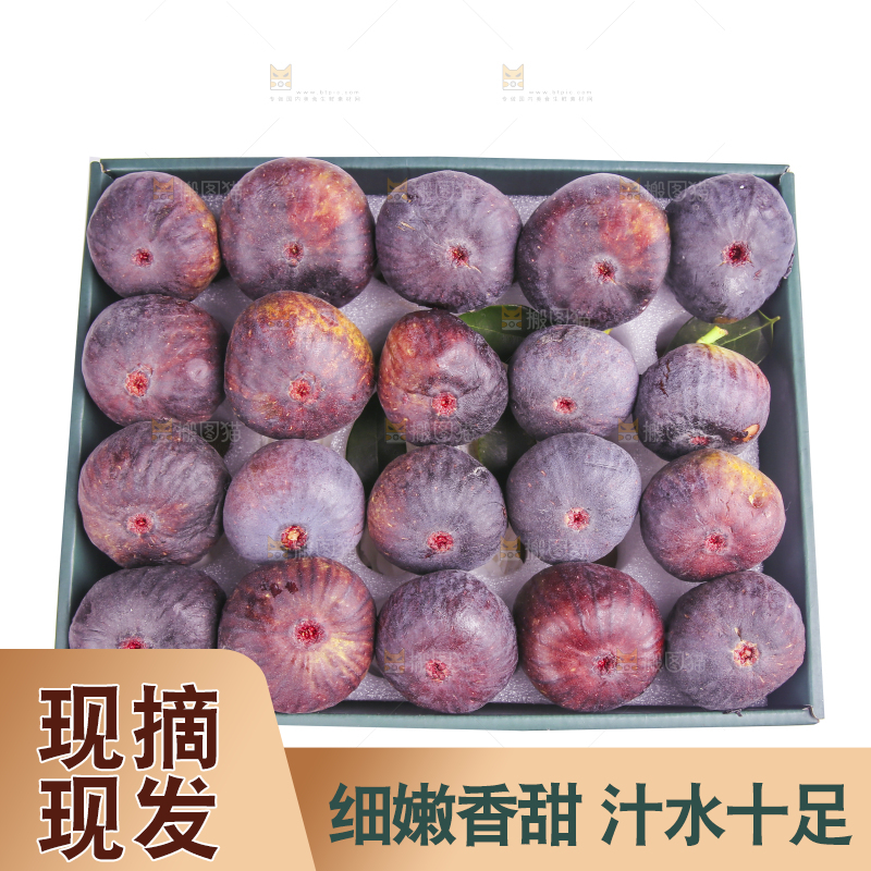 白底上的新鲜无花果