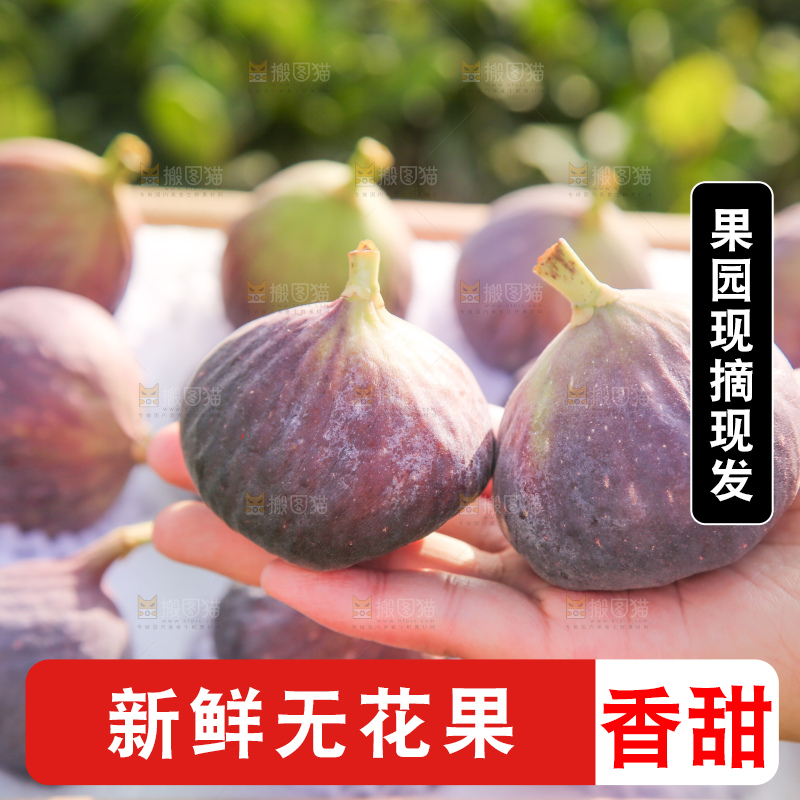手里拿着无花果