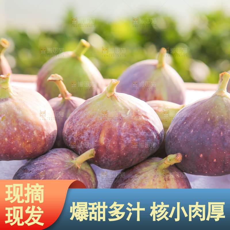 手里拿着无花果