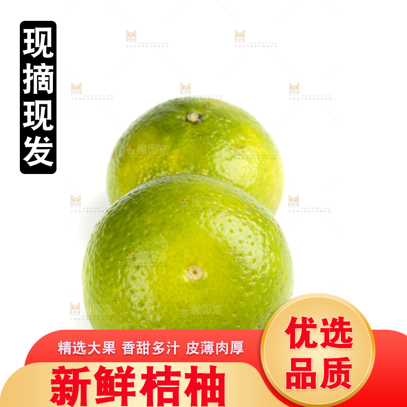 白底上的桔柚