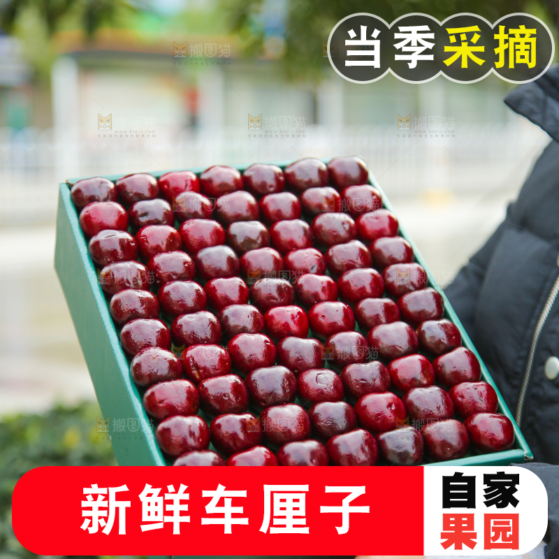 手里拿着车厘子