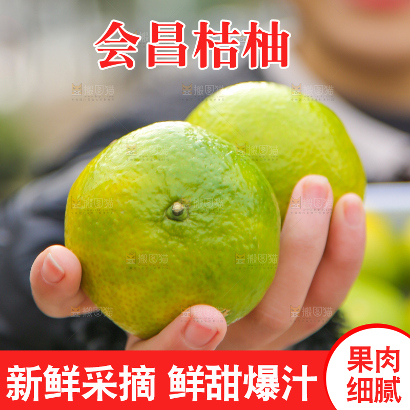 手里拿着建阳桔柚