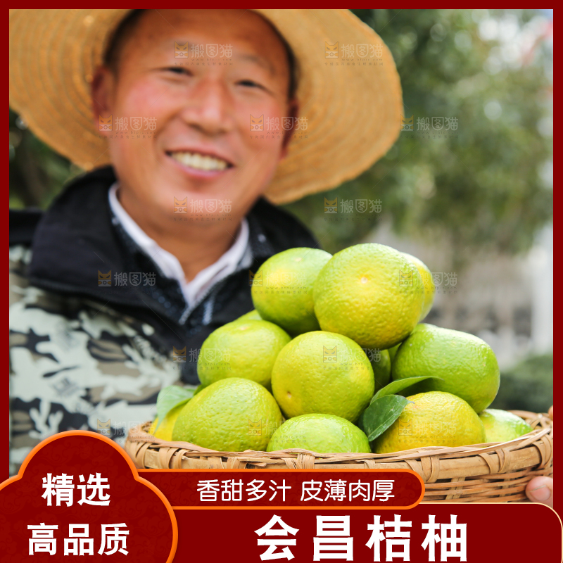 手里拿着建阳桔柚