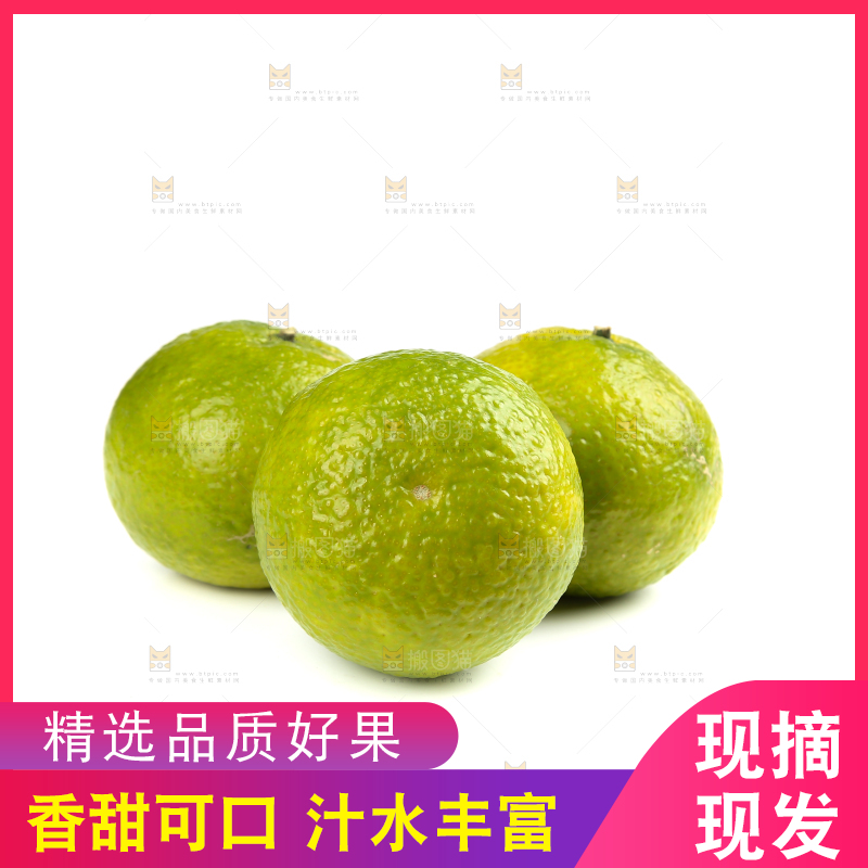 白底上的桔柚