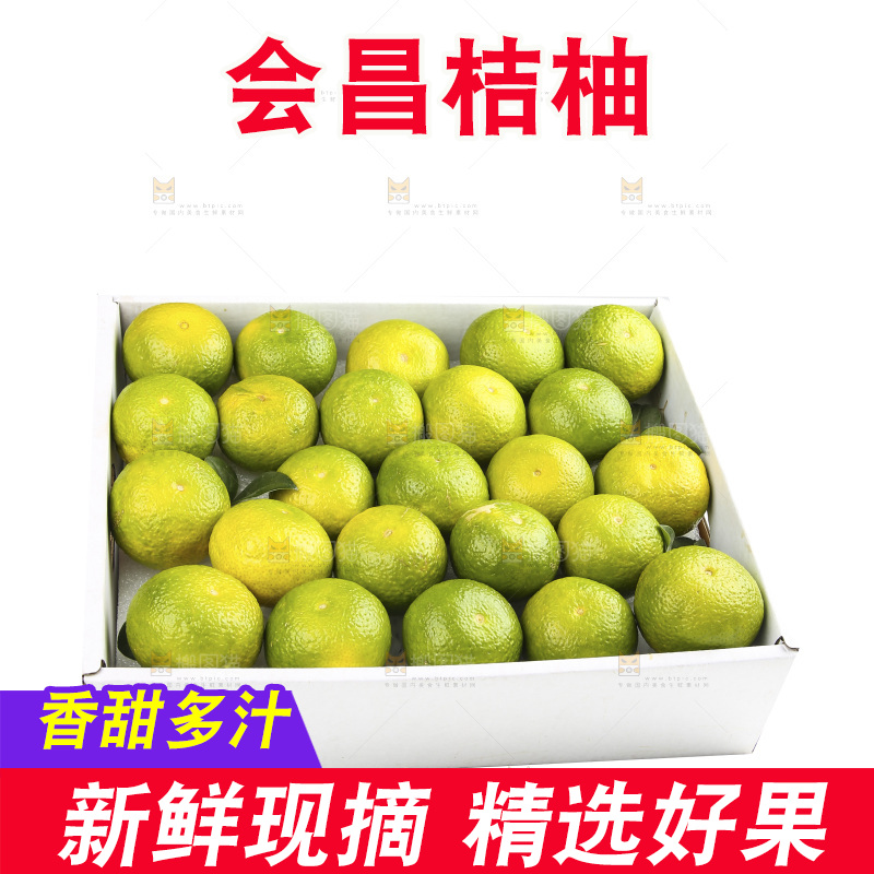 白底上的桔柚