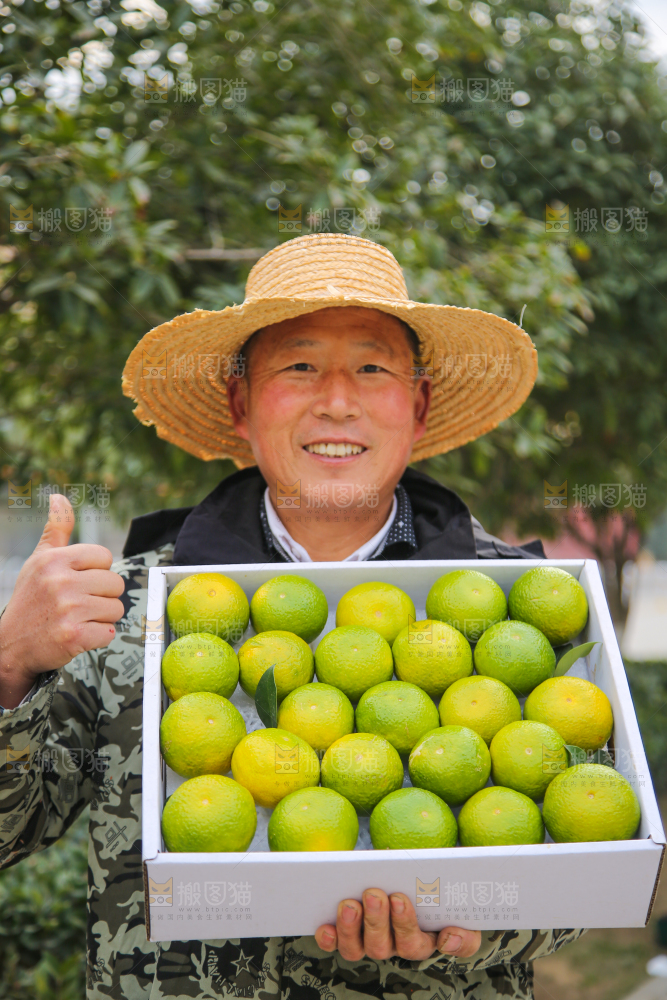 手里拿着建阳桔柚