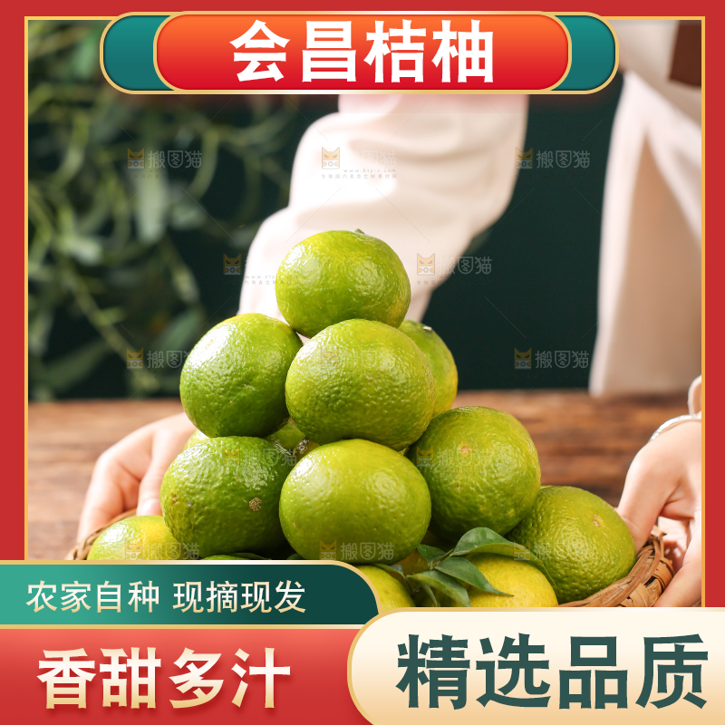 深底上的建阳桔柚