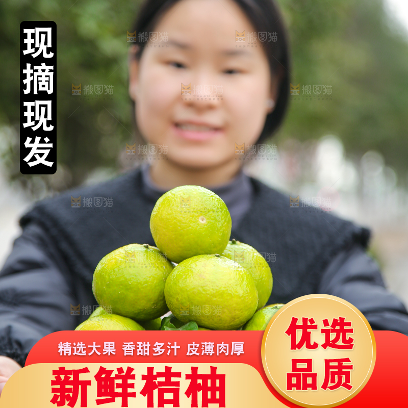 手里拿着建阳桔柚
