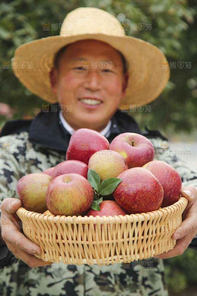 手里拿着丑苹果