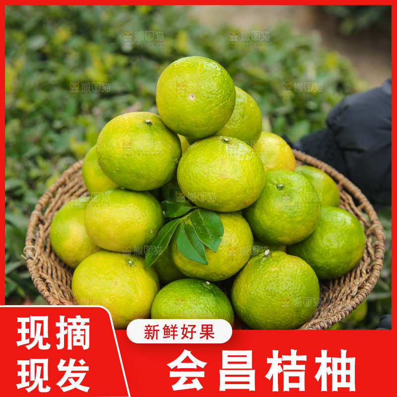 手里拿着建阳桔柚