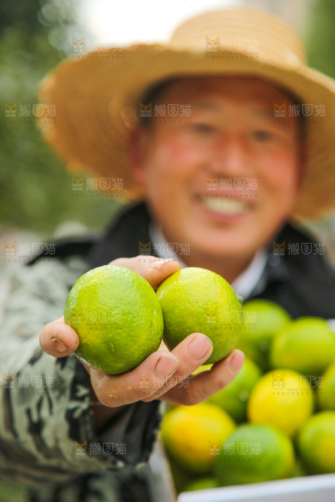 手里拿着建阳桔柚