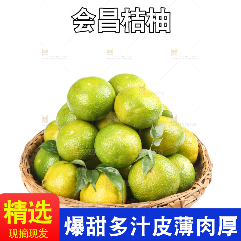 白底上的桔柚