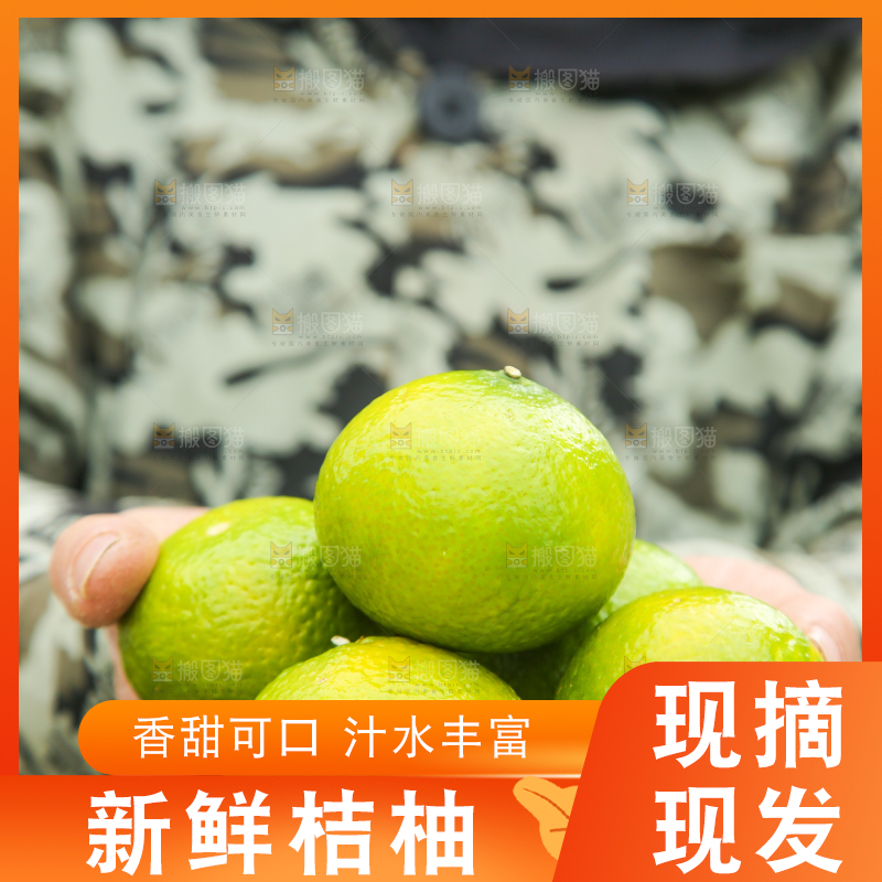 手里拿着建阳桔柚