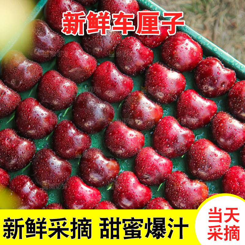 手里拿着车厘子