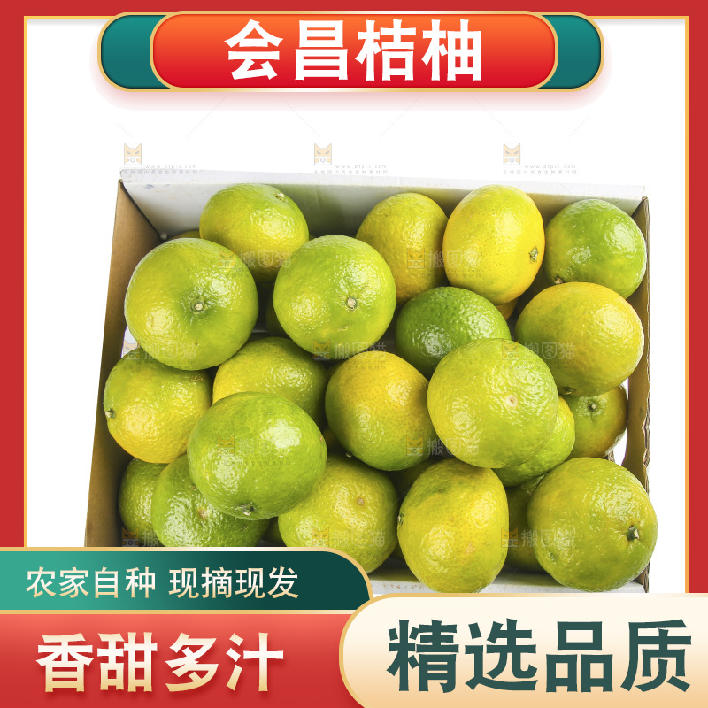 白底上的桔柚