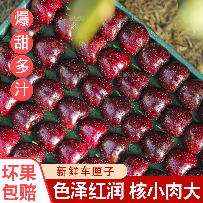 手里拿着车厘子