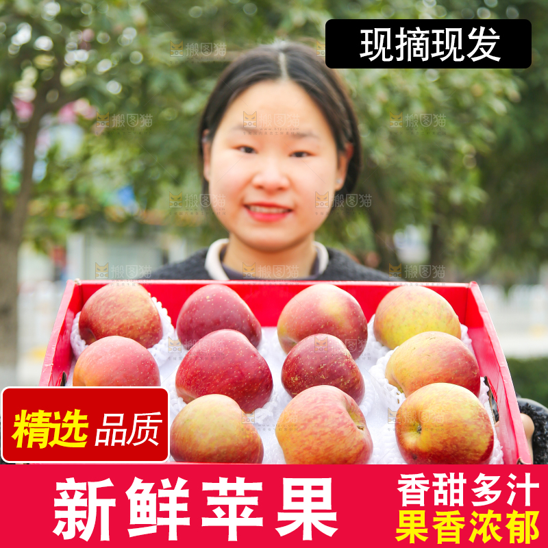 手里拿着丑苹果