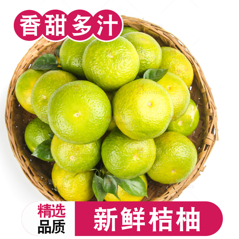 白底上的桔柚