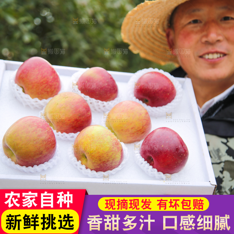 手里拿着丑苹果